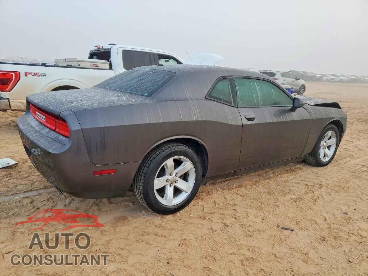 DODGE CHALLENGER 2013 - 2C3CDYAG2DH710387