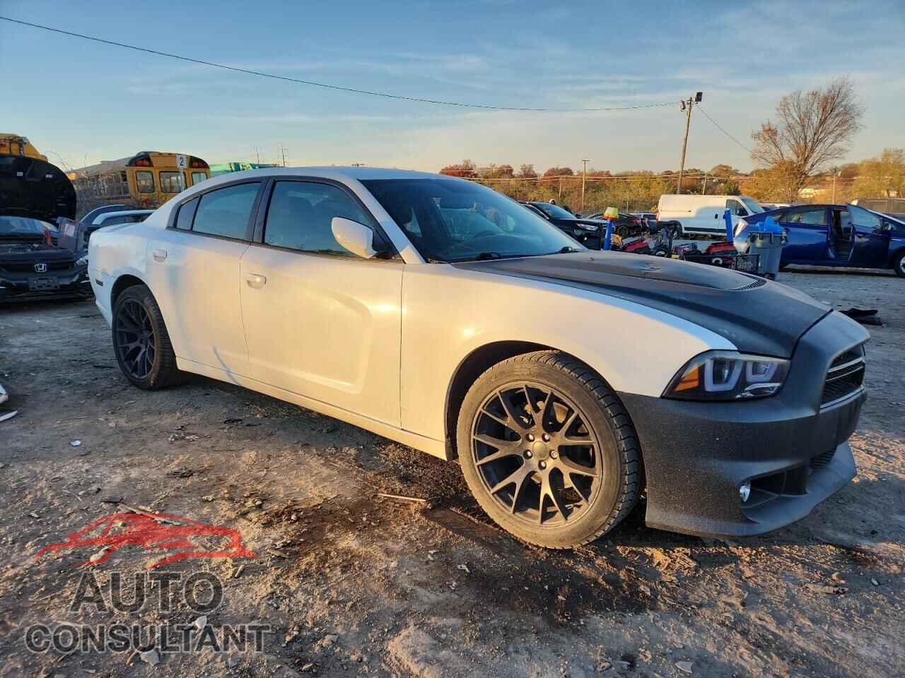 DODGE CHARGER 2013 - 2C3CDXAT0DH578317