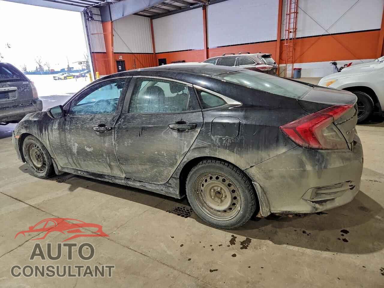 HONDA CIVIC 2019 - 2HGFC2F79KH034701