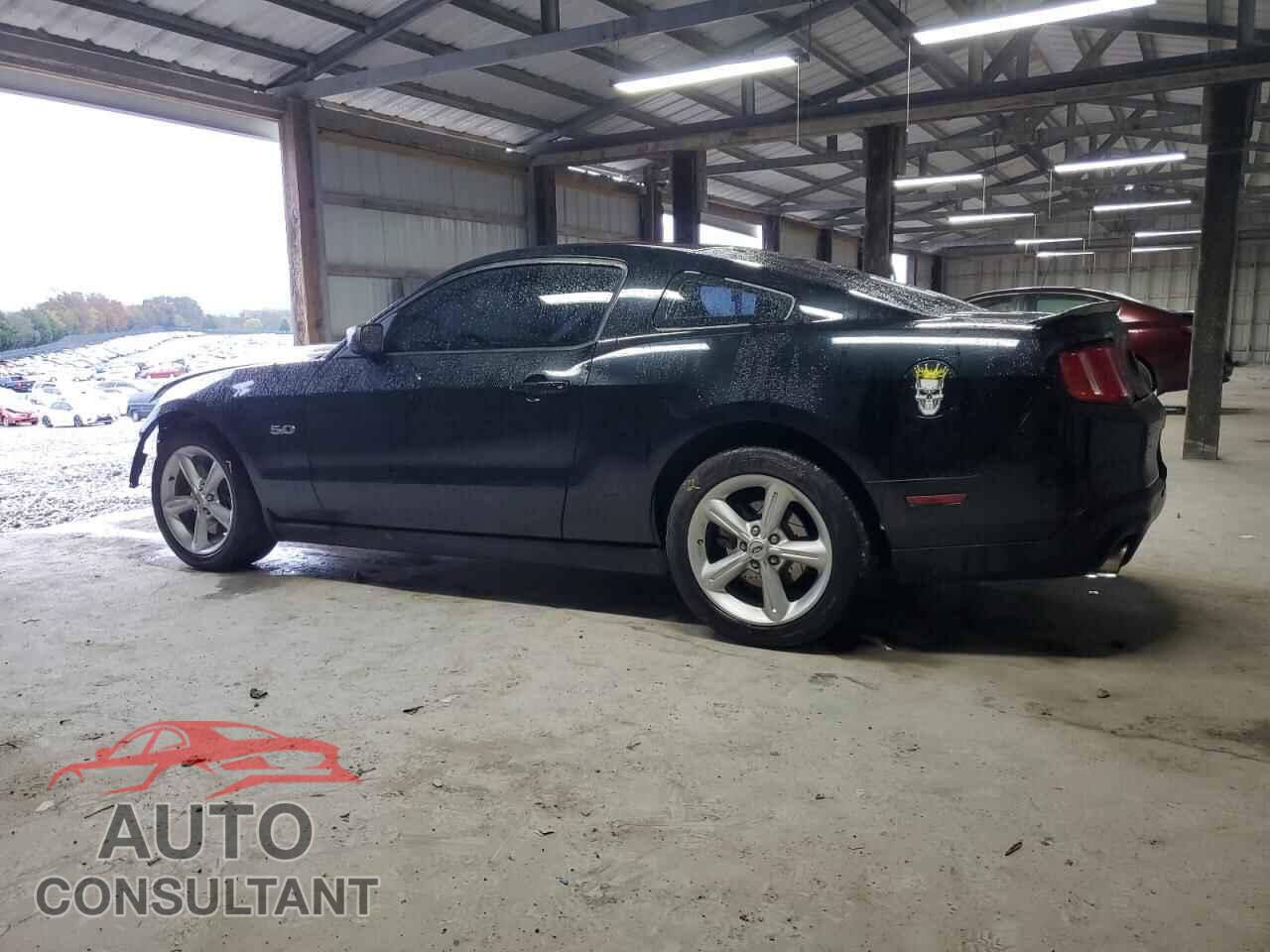 FORD MUSTANG 2012 - 1ZVBP8CF0C5225736