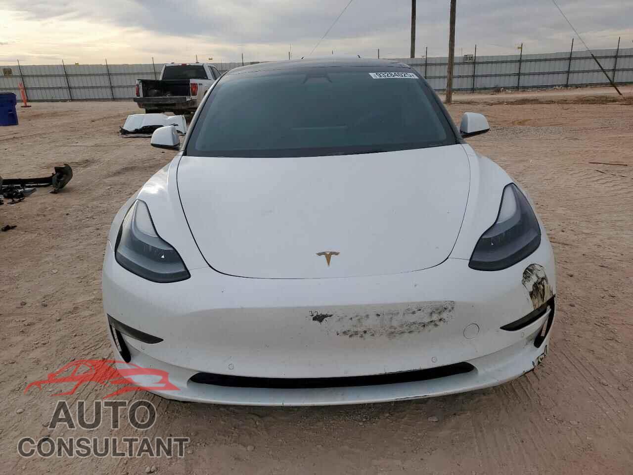 TESLA MODEL 3 2021 - 5YJ3E1EA3MF100736