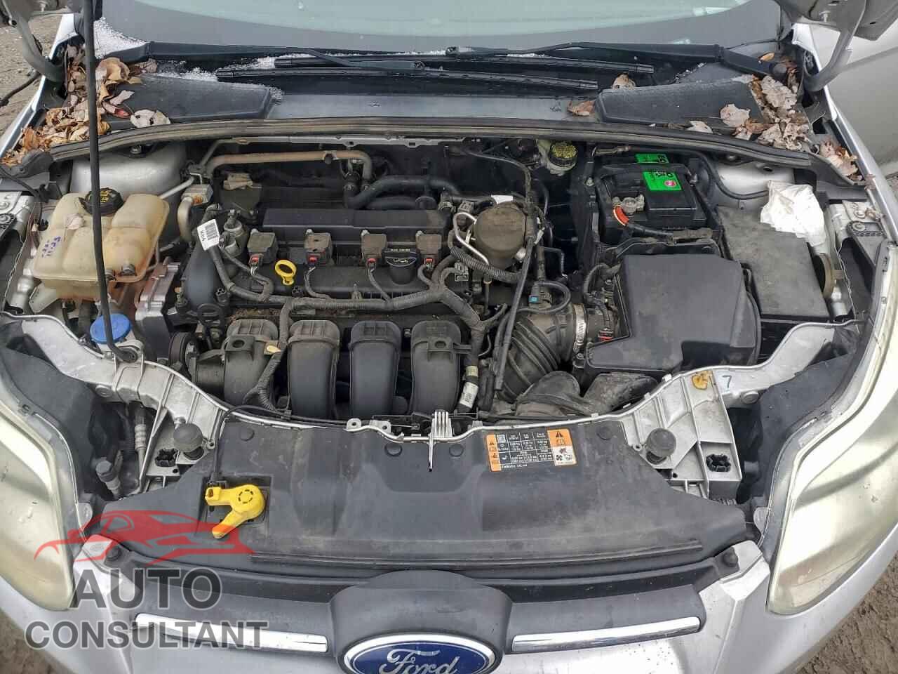 FORD FOCUS 2014 - 1FADP3F22EL368036