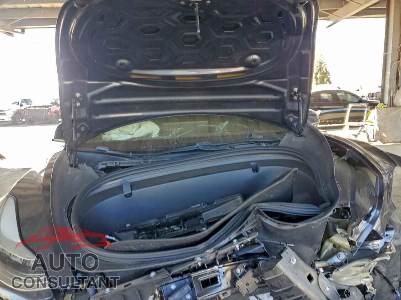 TESLA MODEL 3 2019 - 5YJ3E1EA0KF325676