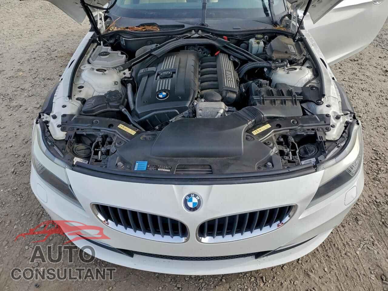 BMW Z4 2009 - WBALM53509E376765