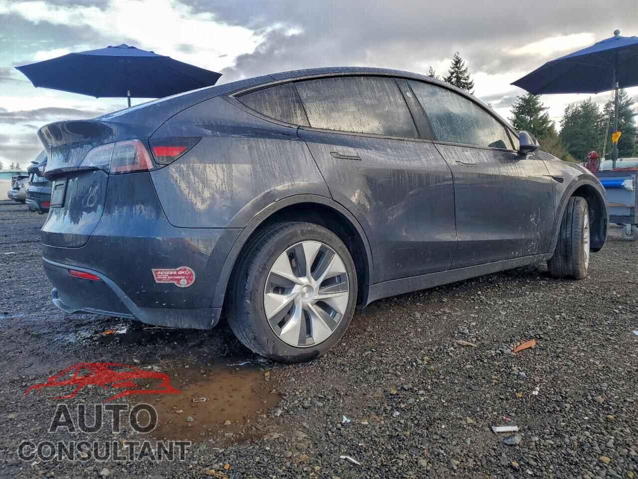 TESLA MODEL Y 2024 - 7SAYGDED4RF055232