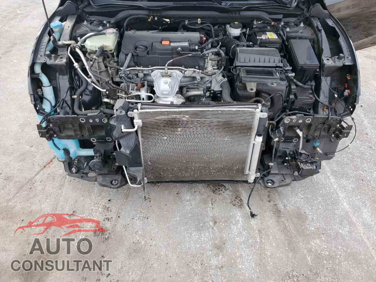 HONDA CIVIC 2019 - 2HGFC2F69KH509464