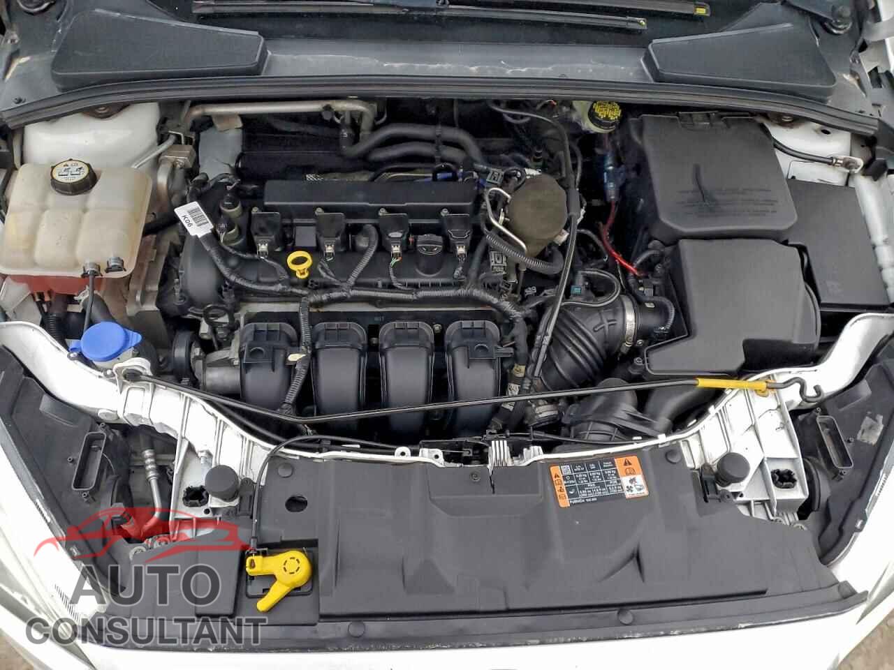 FORD FOCUS 2015 - 1FADP3K29FL324042