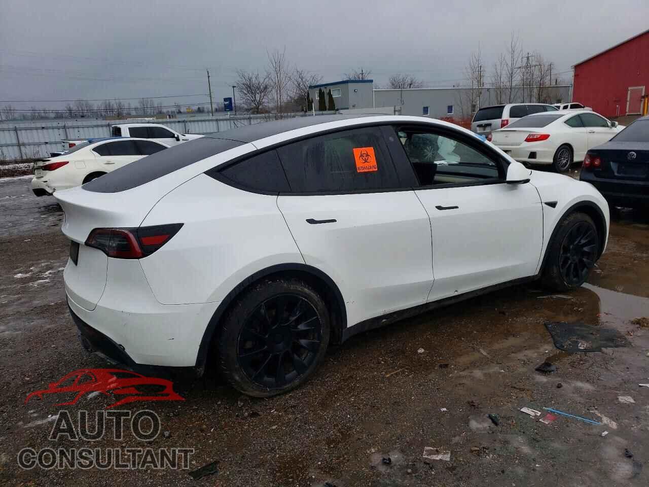 TESLA MODEL Y 2023 - LRWYGDFD0PC929997