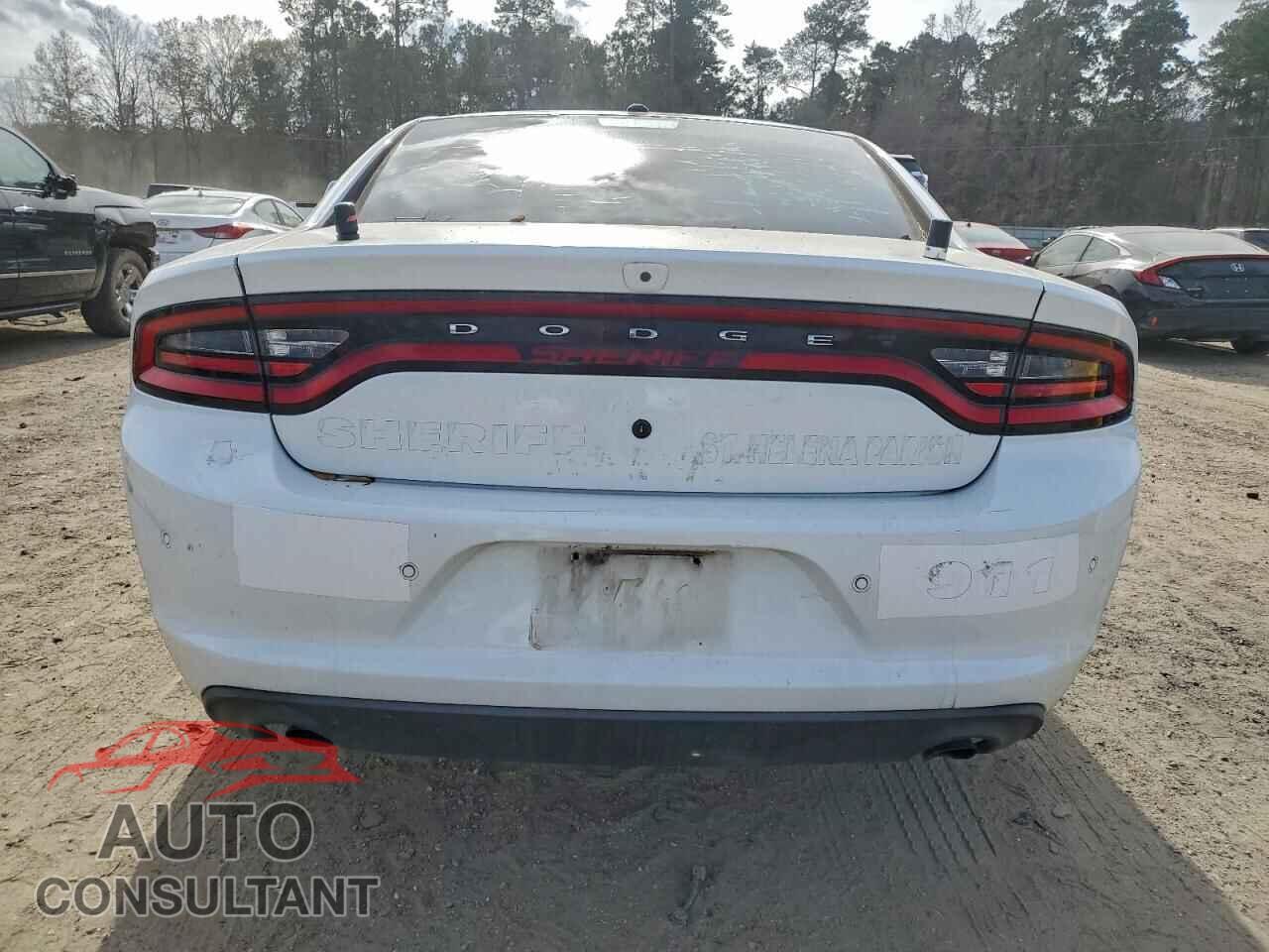 DODGE CHARGER 2019 - 2C3CDXAT2KH538558