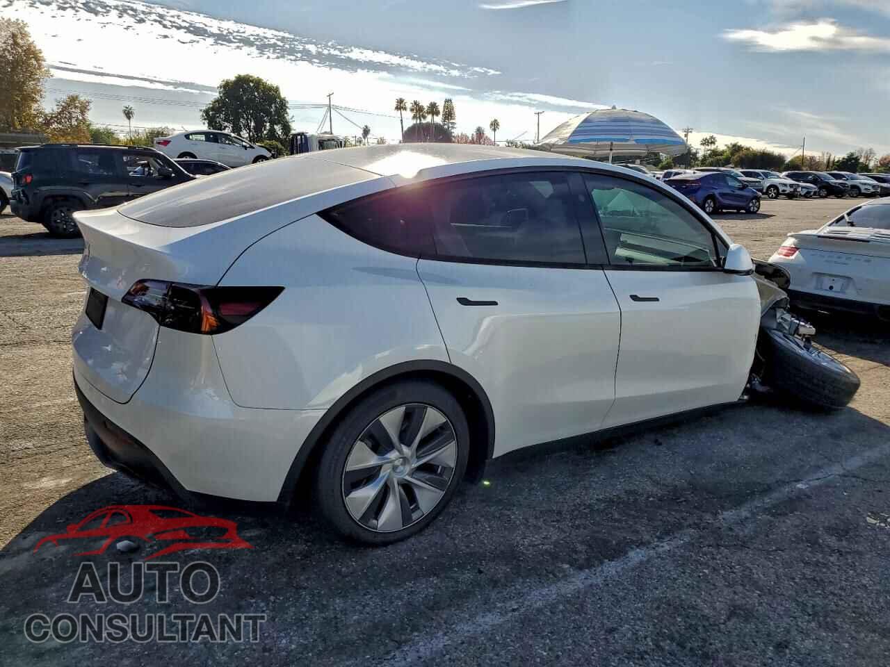 TESLA MODEL Y 2024 - 7SAYGDED2RF041734