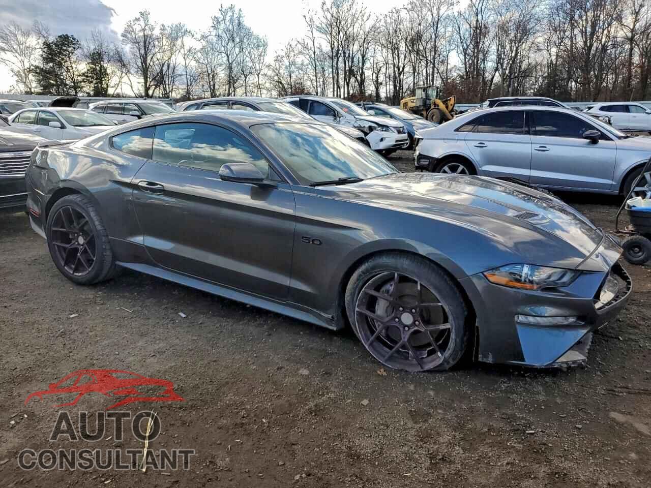 FORD MUSTANG 2019 - 1FA6P8CF4K5133313