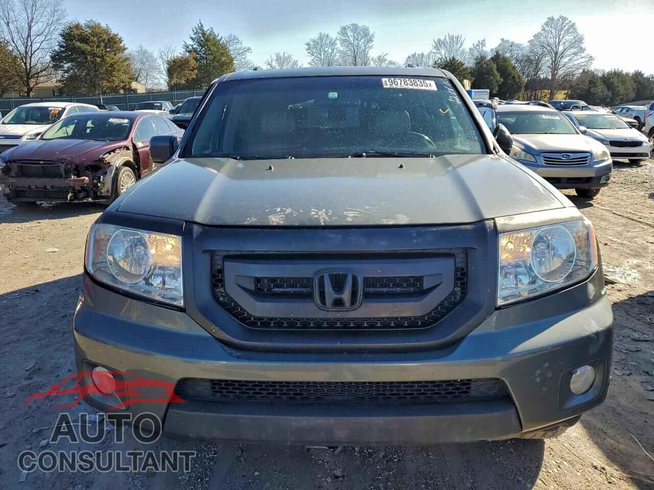HONDA PILOT 2009 - 5FNYF38879B012206
