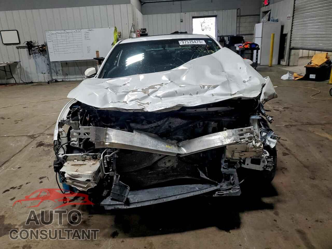 HONDA CIVIC 2019 - 2HGFC3A59KH751871