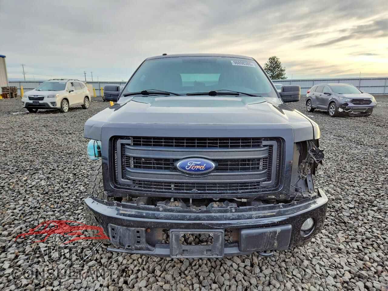 FORD F-150 2013 - 1FTFX1EFXDFA68320