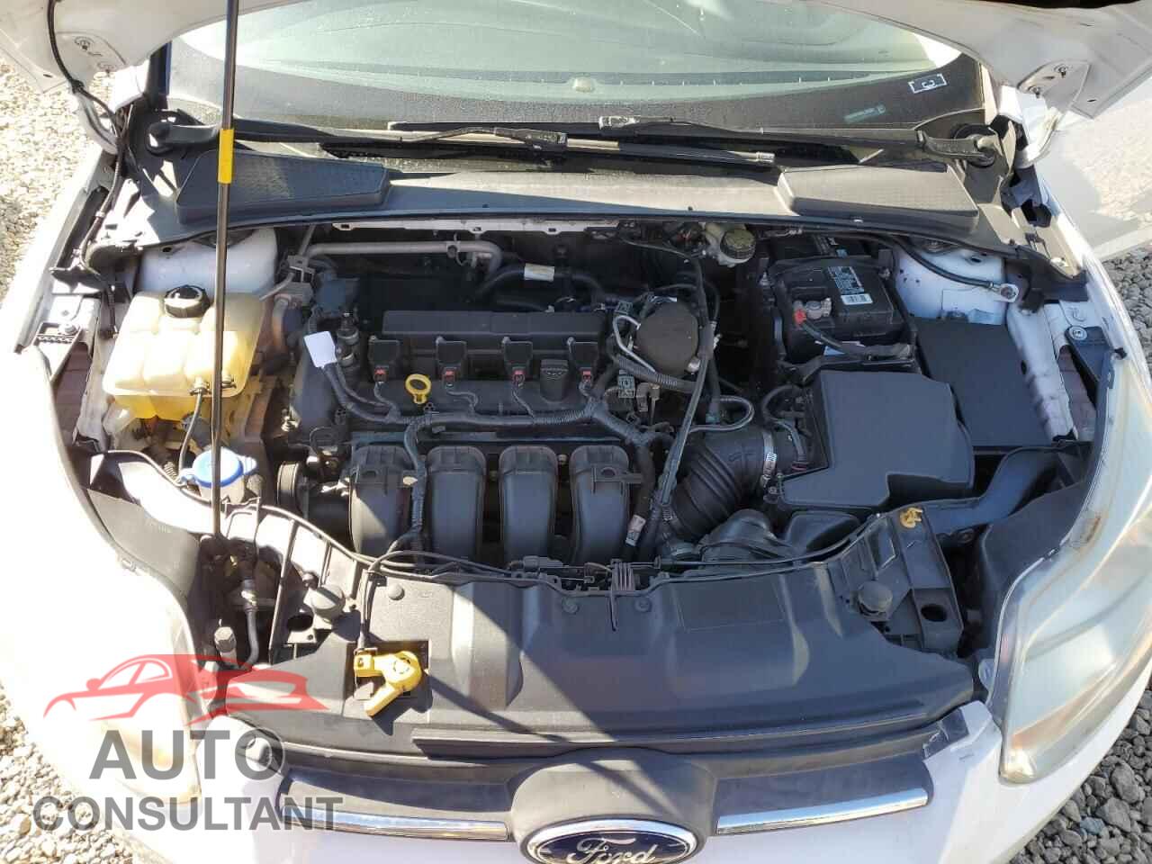FORD FOCUS 2014 - 1FADP3F28EL268667