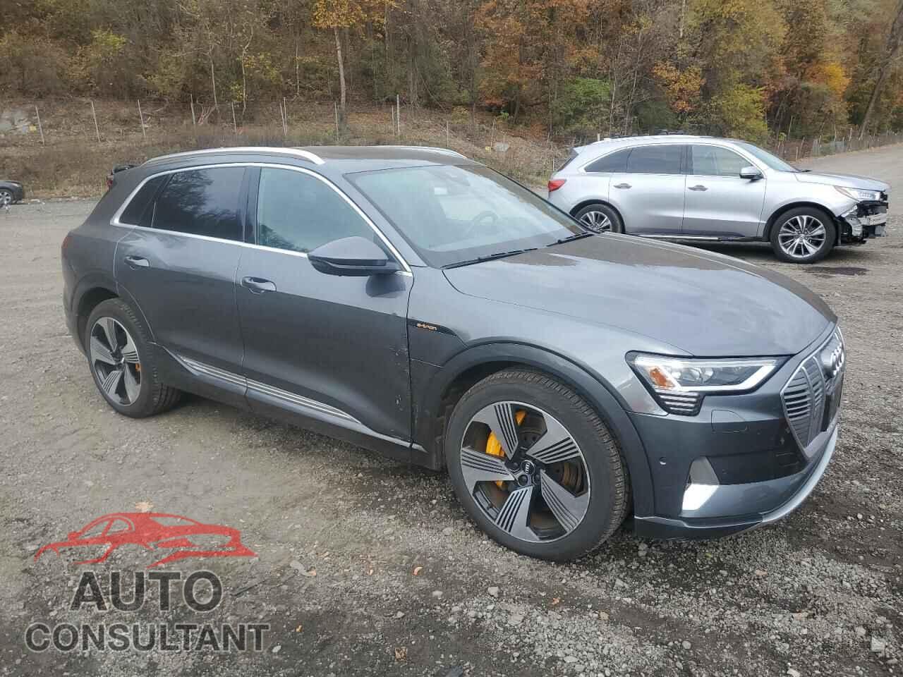 AUDI E-TRON 2019 - WA1VAAGE3KB006600