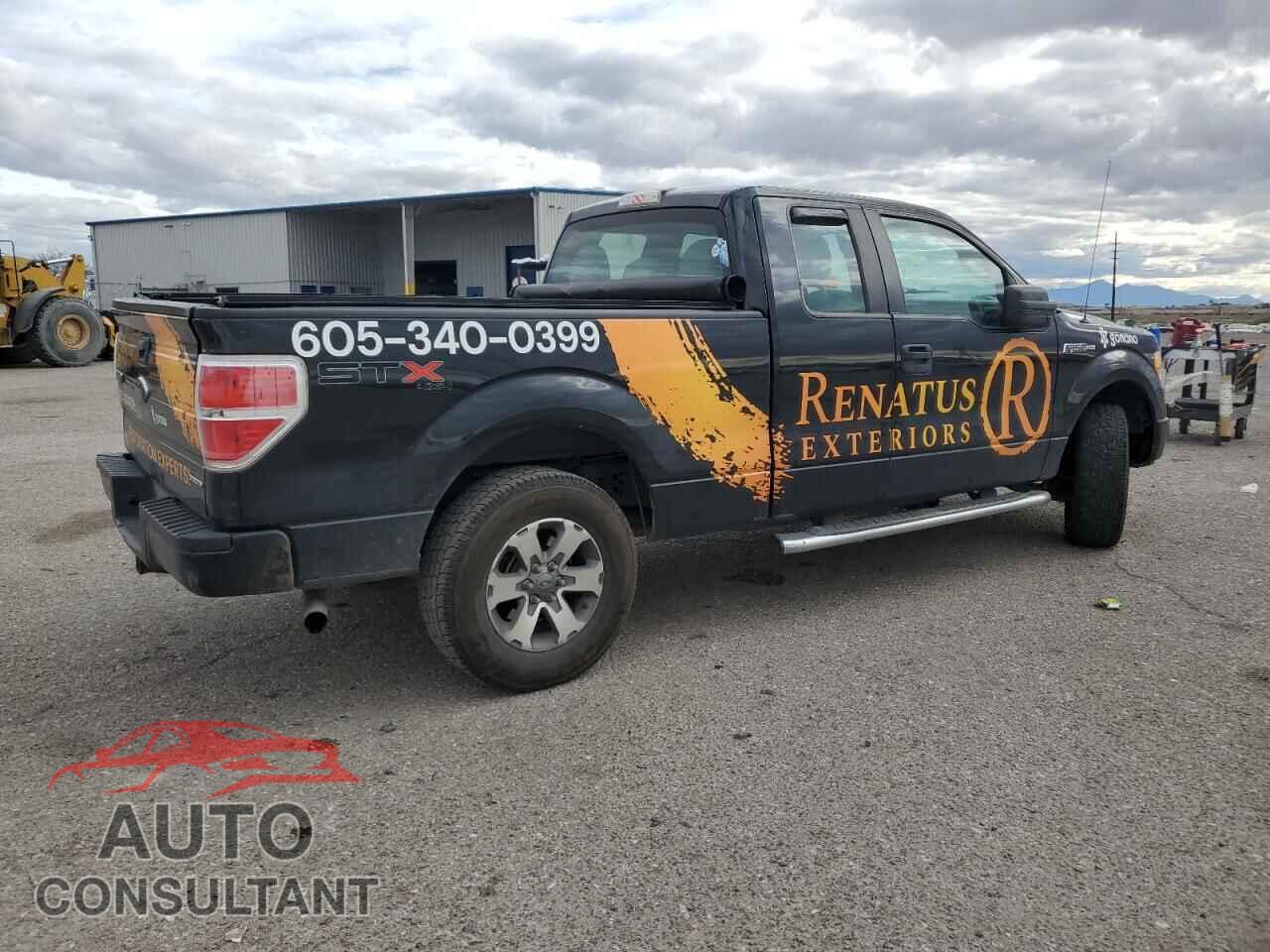 FORD F-150 2012 - 1FTFX1EF1CFD09552