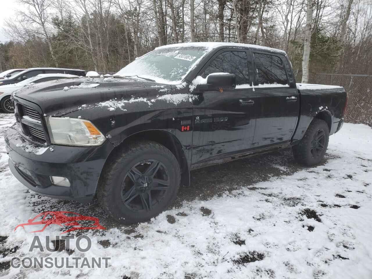DODGE RAM 1500 2012 - 1C6RD7MT4CS222789