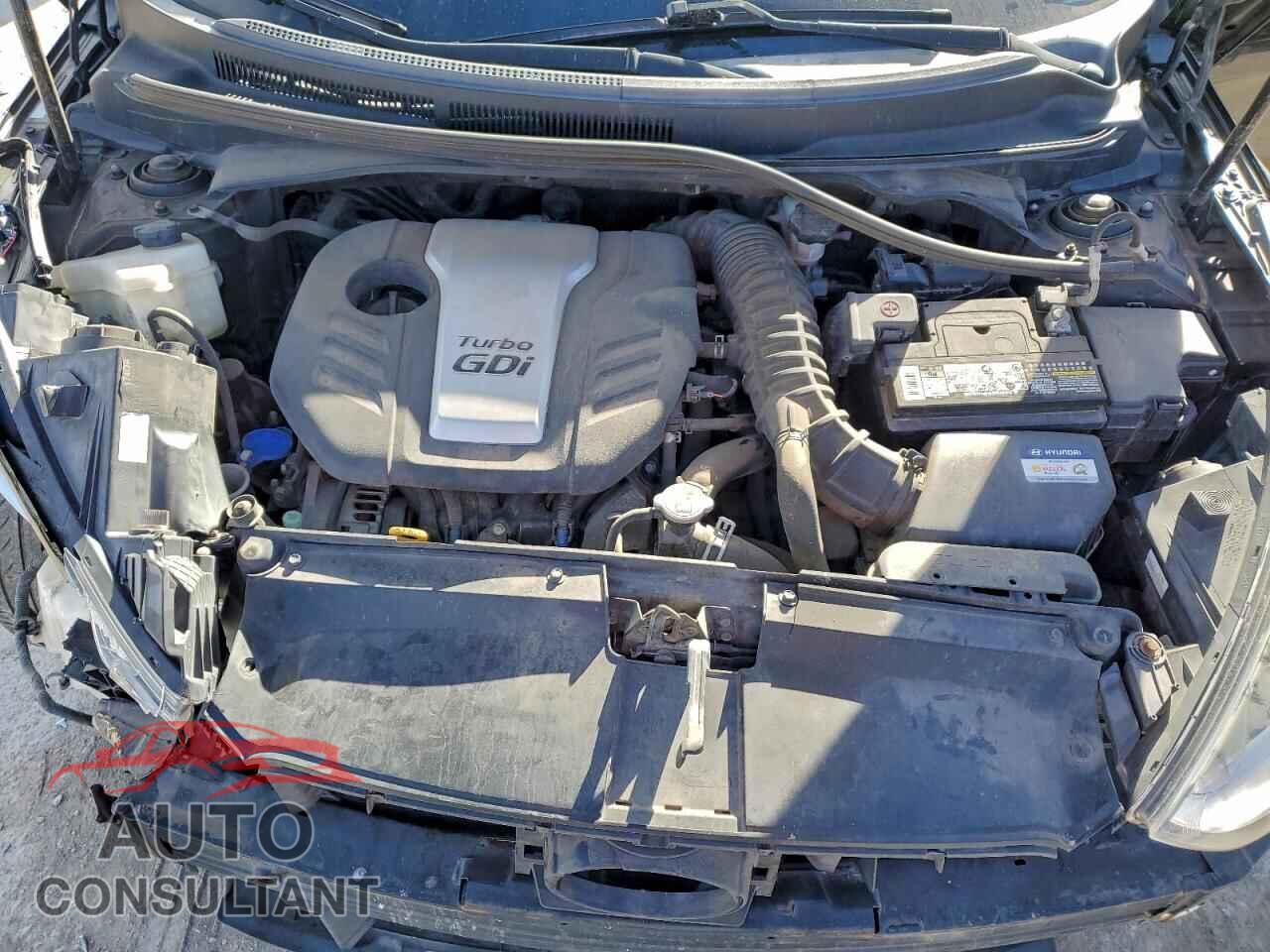 HYUNDAI VELOSTER 2017 - KMHTC6AE4HU309424