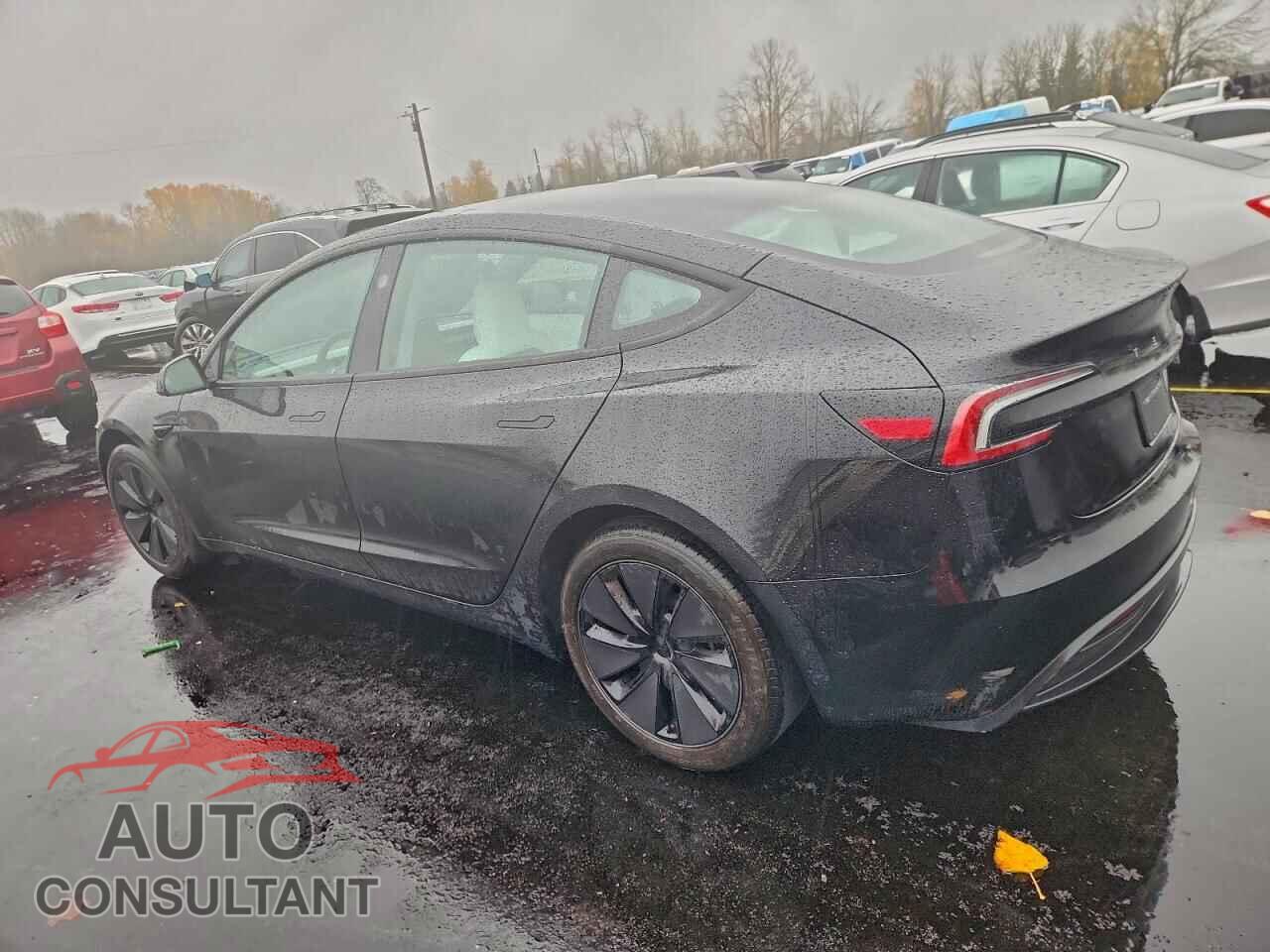 TESLA MODEL 3 2025 - 5YJ3E1EA1SF030828