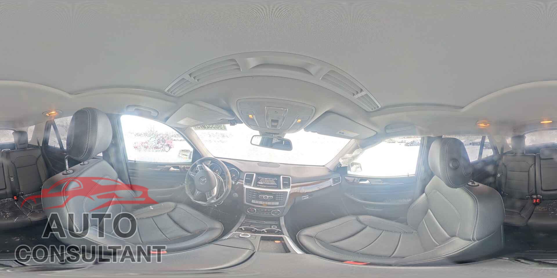 MERCEDES-BENZ M-CLASS 2013 - 4JGDA2EB3DA160602