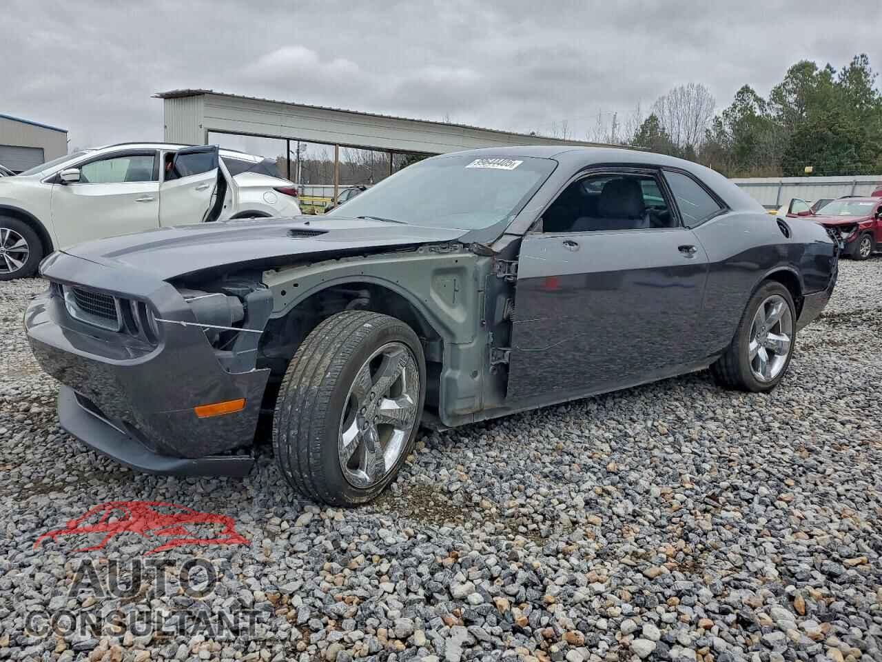 DODGE CHALLENGER 2014 - 2C3CDYAG0EH204056