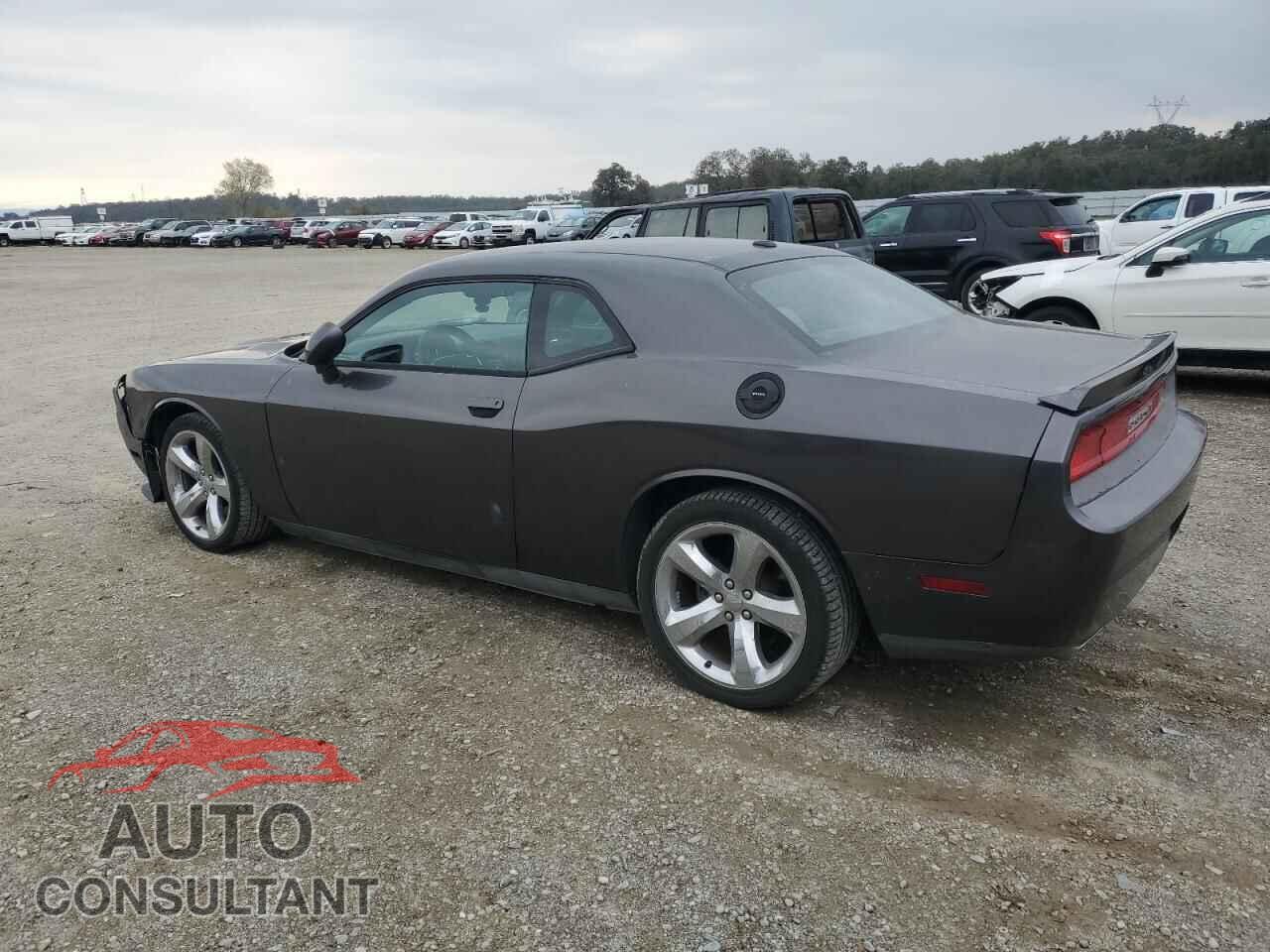 DODGE CHALLENGER 2013 - 2C3CDYAG9DH634487