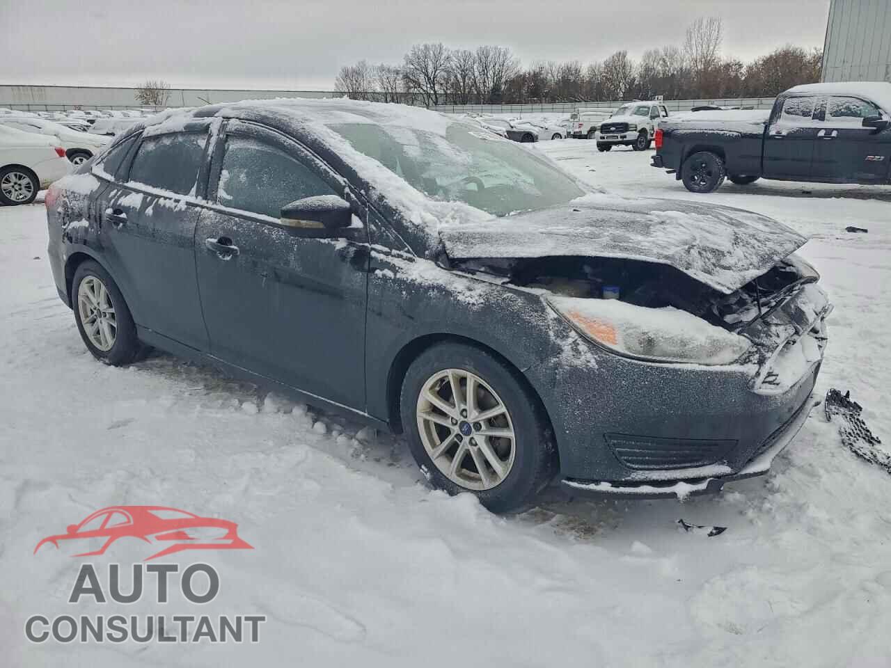 FORD FOCUS 2016 - 1FADP3F26GL393072