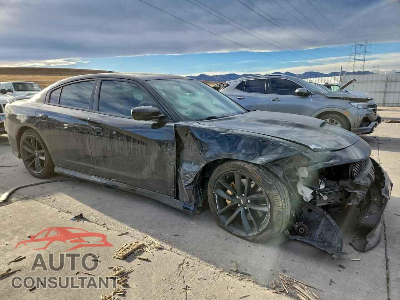 DODGE CHARGER 2019 - 2C3CDXCT7KH728157