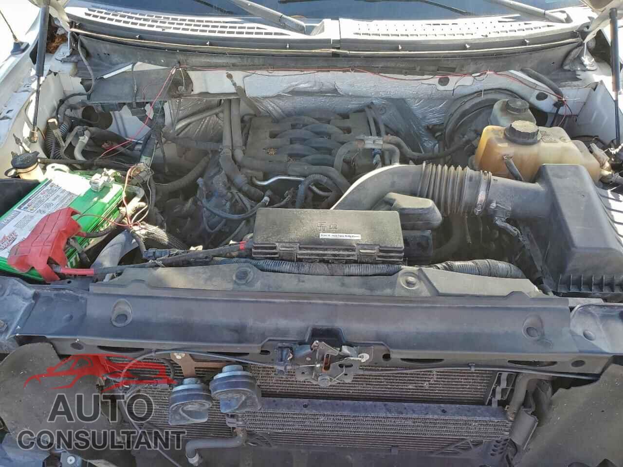 FORD F-150 2011 - 1FTFX1CFXBFB37829