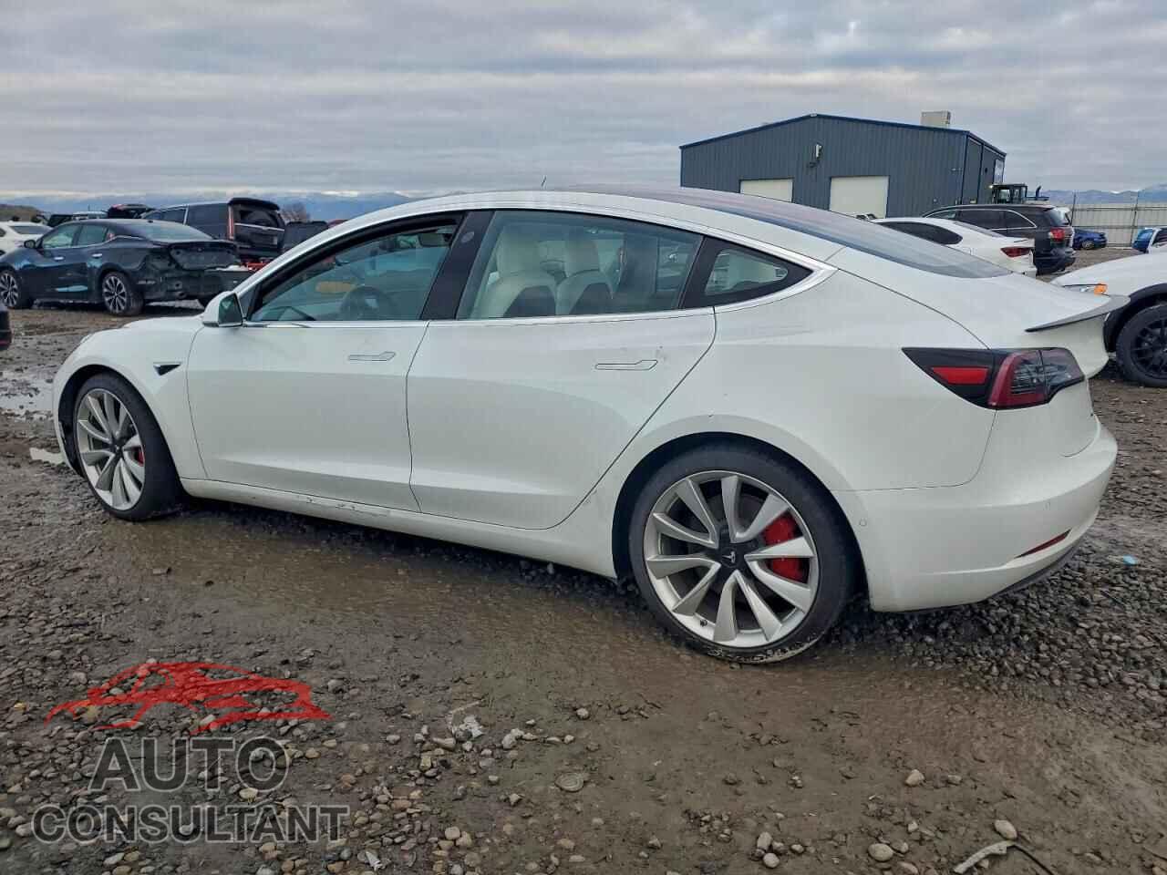 TESLA MODEL 3 2018 - 5YJ3E1EB2JF081584