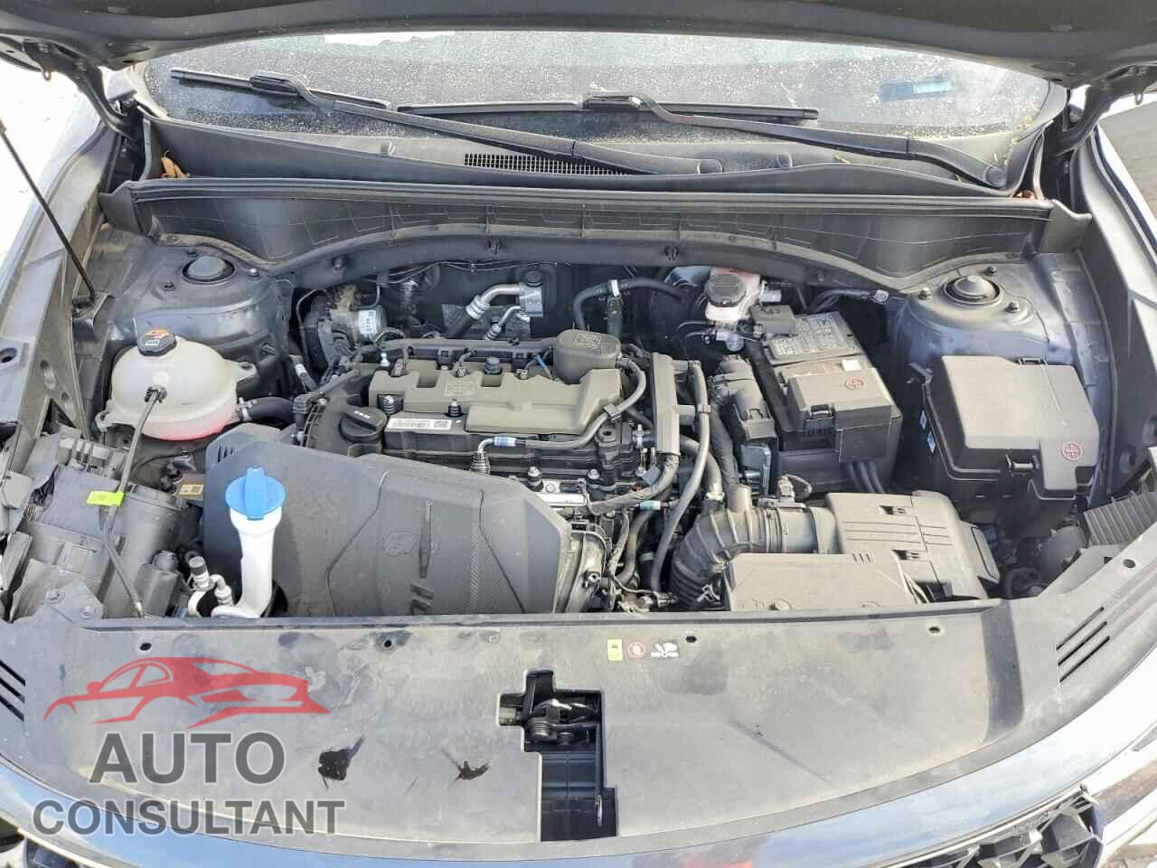 KIA SORENTO 2023 - 5XYRG4LC9PG207149