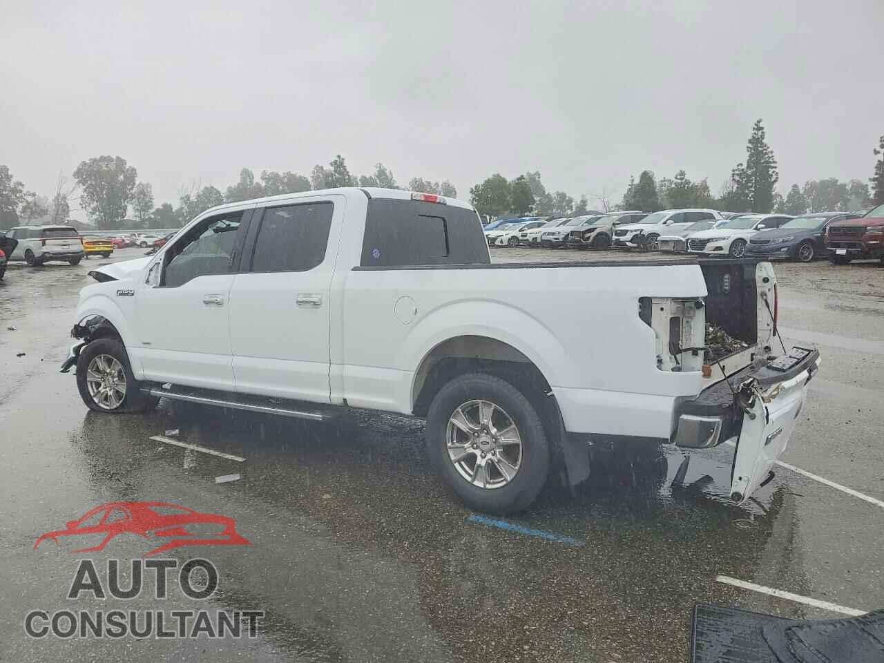 FORD F-150 2015 - 1FTFW1EG3FKE64773