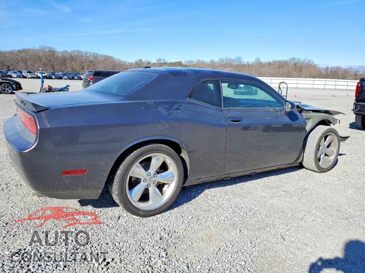 DODGE CHALLENGER 2014 - 2C3CDYBT8EH313408