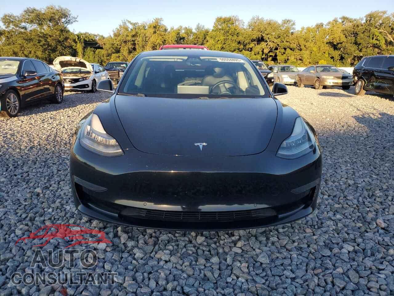 TESLA MODEL 3 2019 - 5YJ3E1EA7KF434801