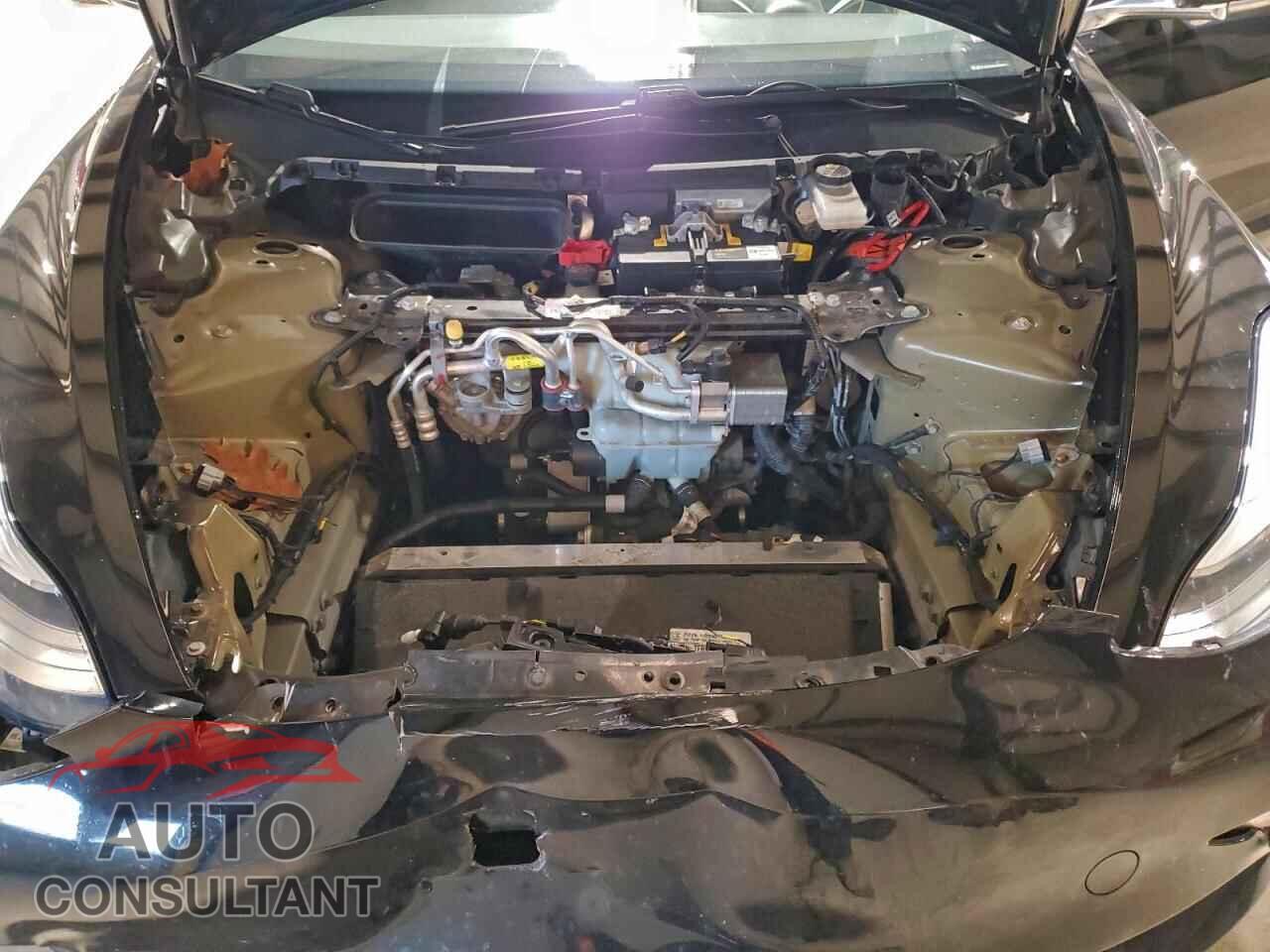 TESLA MODEL 3 2019 - 5YJ3E1EB8KF384547