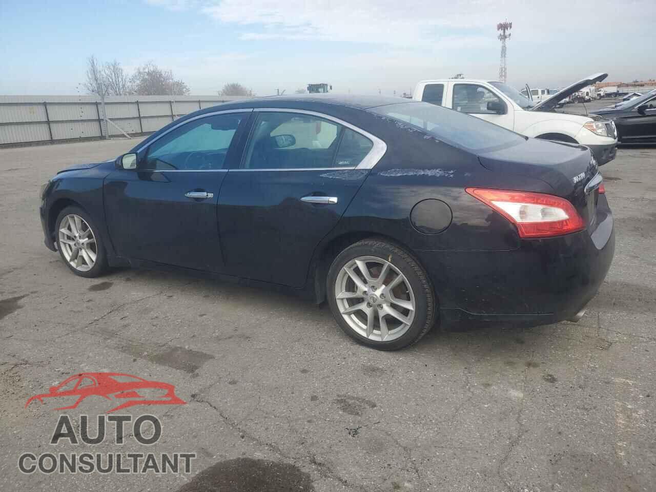 NISSAN MAXIMA 2010 - 1N4AA5AP1AC828963