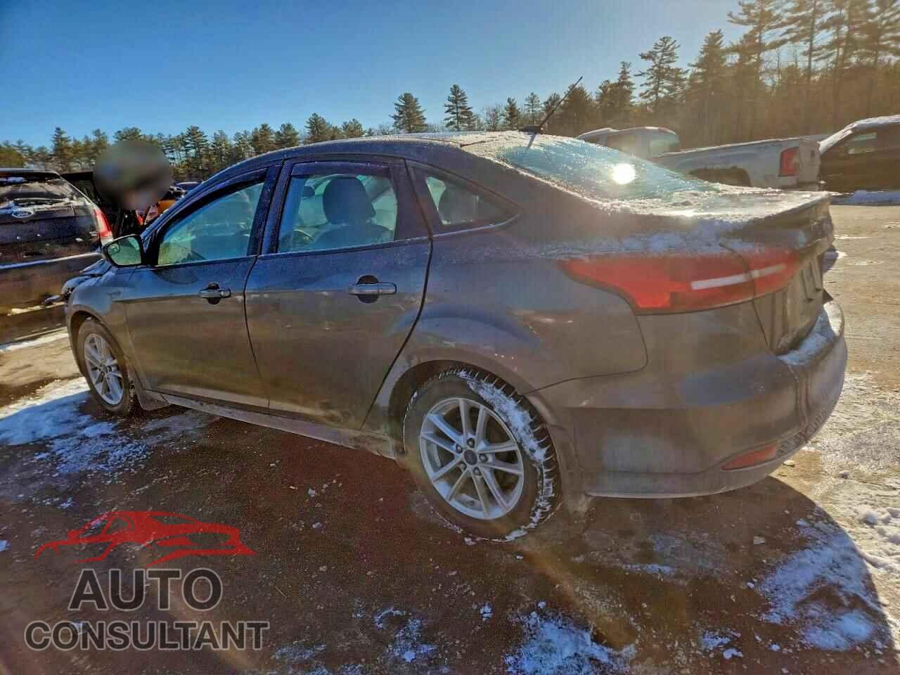 FORD FOCUS 2015 - 1FADP3F23FL251695