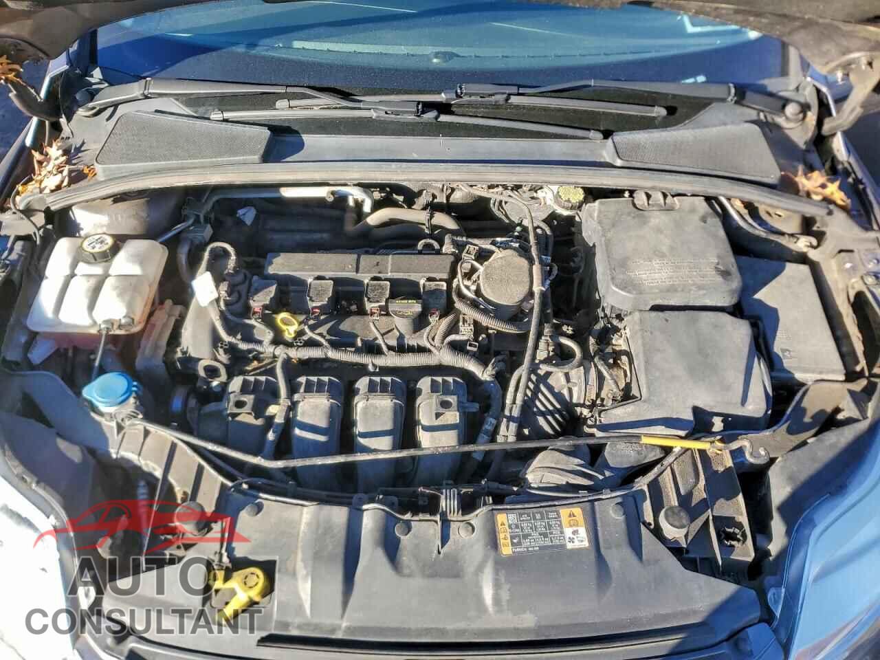 FORD FOCUS 2014 - 1FADP3K20EL369501