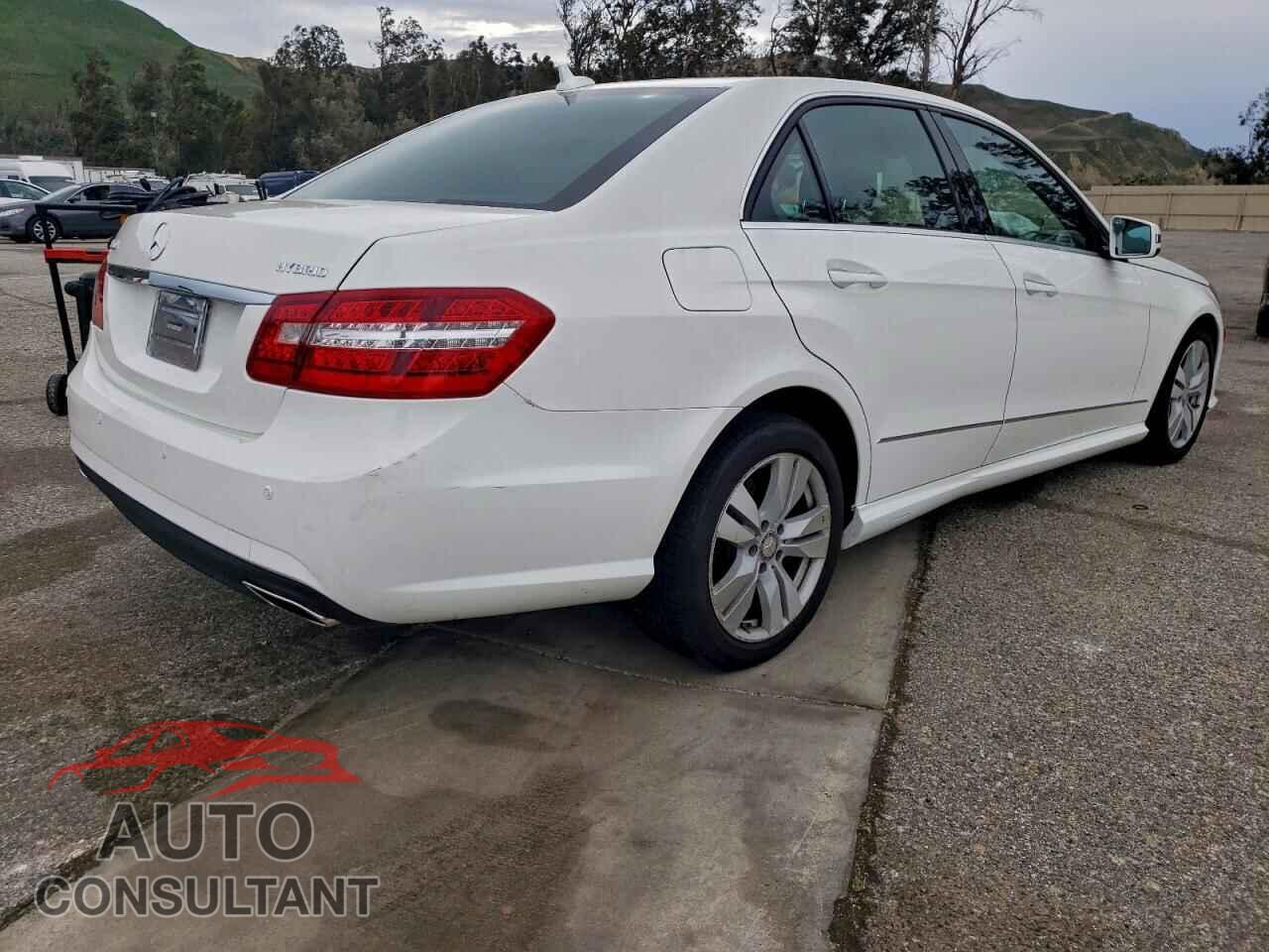 MERCEDES-BENZ E-CLASS 2013 - WDDHF9FB1DA738068
