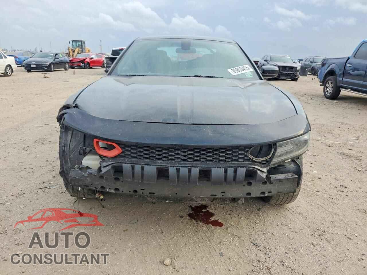 DODGE CHARGER 2019 - 2C3CDXBG6KH757413