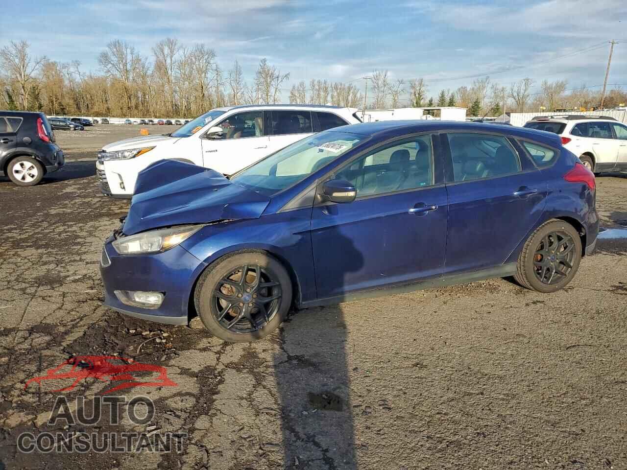 FORD FOCUS 2016 - 1FADP3K27GL286375