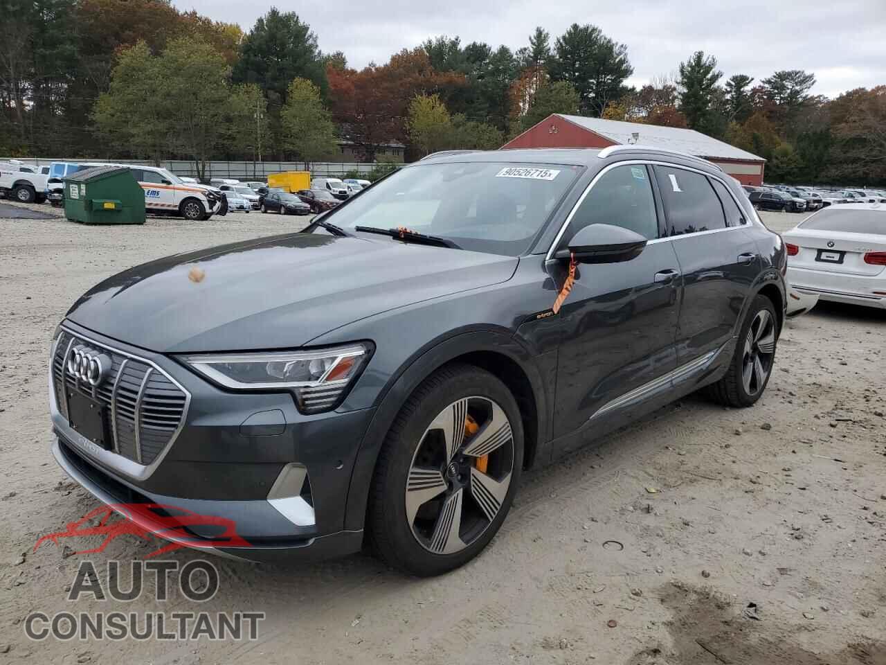 AUDI E-TRON 2019 - WA1VAAGE8KB005443