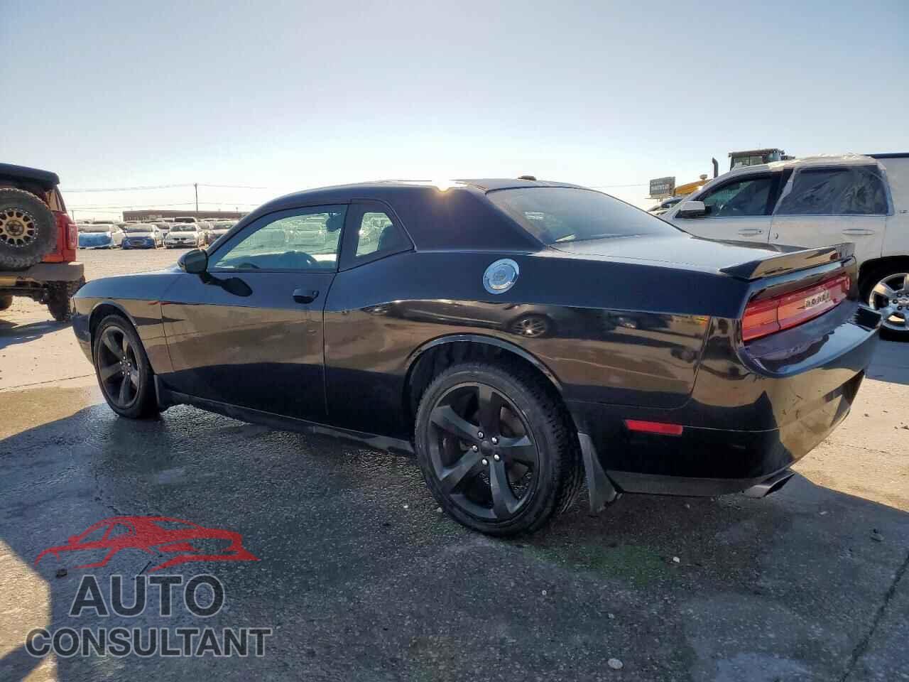 DODGE CHALLENGER 2013 - 2C3CDYAG6DH676485
