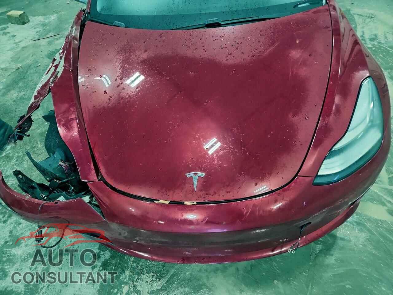 TESLA MODEL 3 2019 - 5YJ3E1EA7KF402804