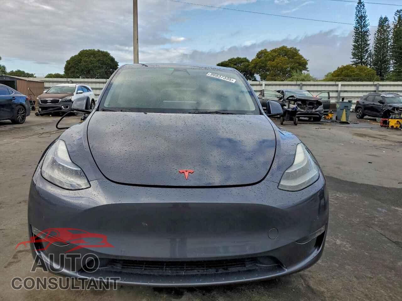 TESLA MODEL Y 2022 - 7SAYGDEF6NF531444