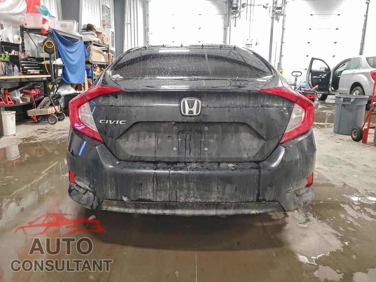 HONDA CIVIC 2017 - 2HGFC2F81HH041031