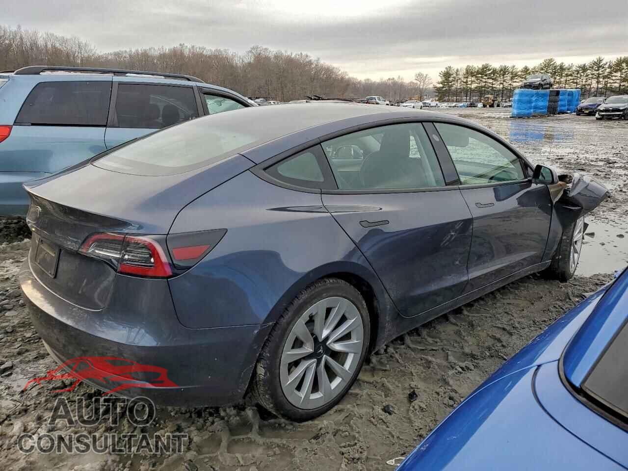 TESLA MODEL 3 2021 - 5YJ3E1EA1MF021064
