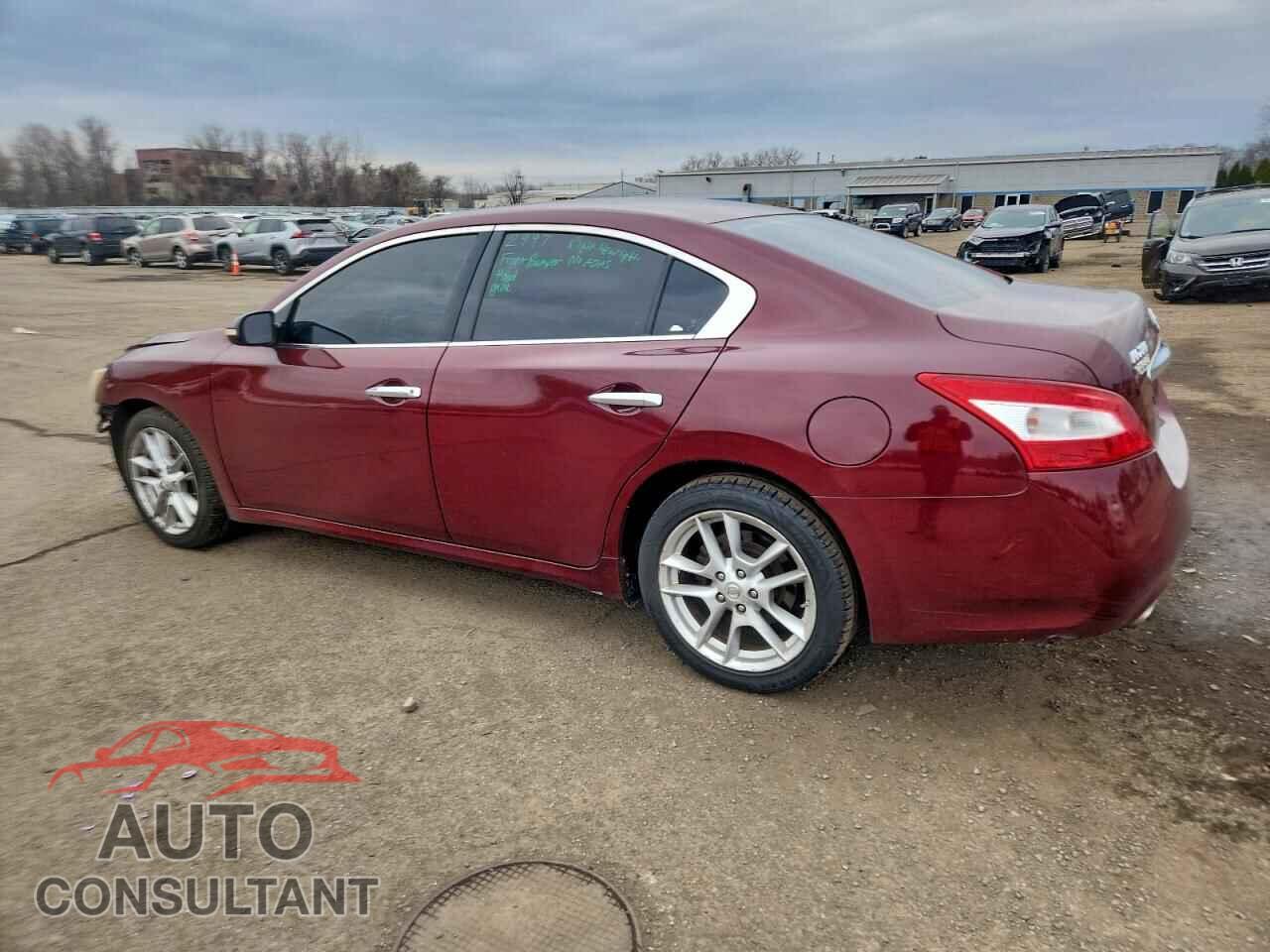 NISSAN MAXIMA 2009 - 1N4AA51E49C819782