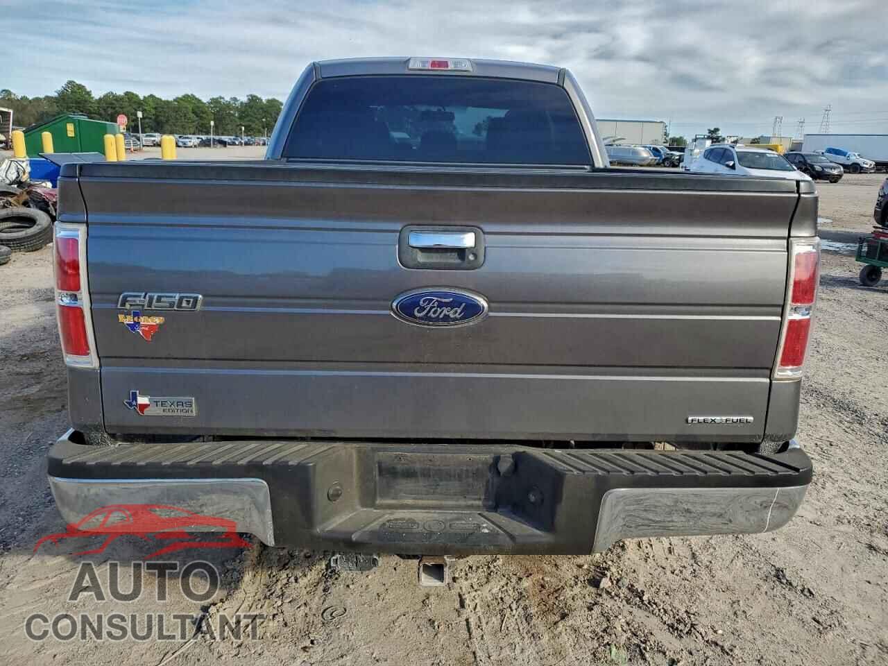 FORD F-150 2014 - 1FTFX1CF9EFA69737